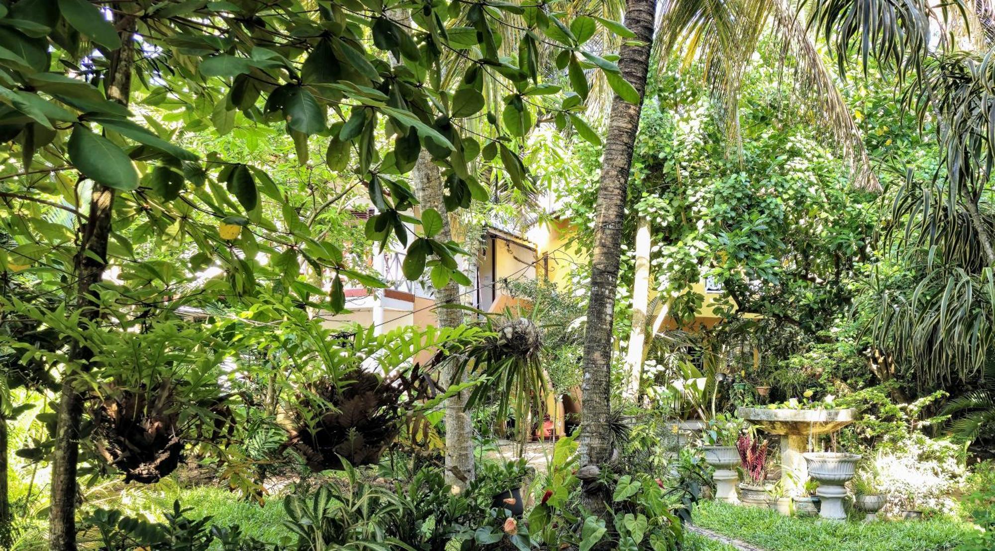 Flora And Fauna Mirissa Exterior foto