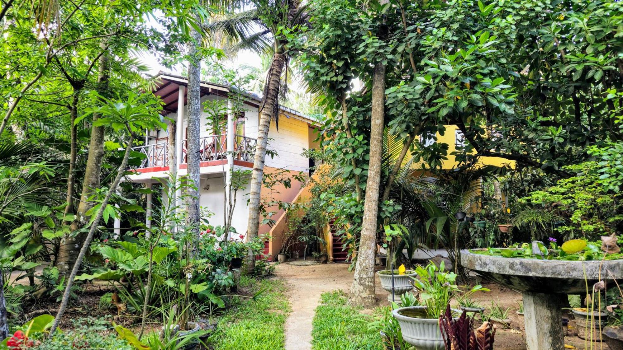Flora And Fauna Mirissa Habitación foto